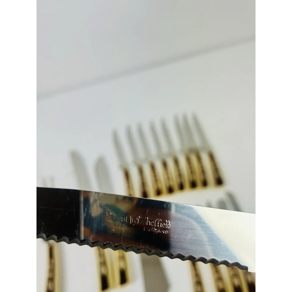 Regent Sheffield Silverware Set Vintage MCM Leaf Pattern 18pc Knives Serving Set